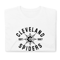 Cleveland Spiders
