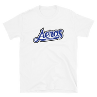 Houston Aeros
