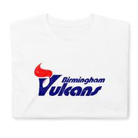 Birmingham Vulcans

