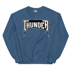 Delaware Thunder (XL logo)