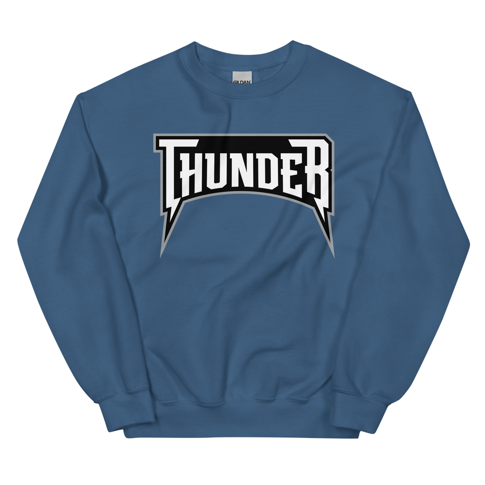 Delaware Thunder (XL logo)