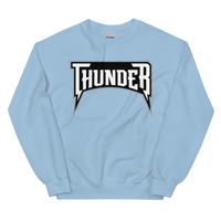 Delaware Thunder (XL logo)
