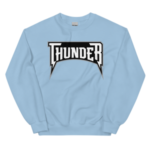 Delaware Thunder (XL logo)