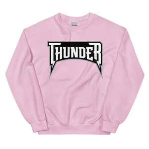 Delaware Thunder (XL logo)