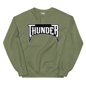 Delaware Thunder (XL logo)