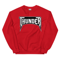 Delaware Thunder (XL logo)
