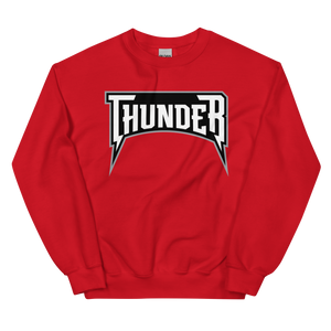 Delaware Thunder (XL logo)