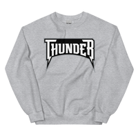 Delaware Thunder (XL logo)
