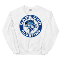 Cape Cod Bluefins (XL logos)
