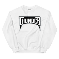 Delaware Thunder (XL logo)
