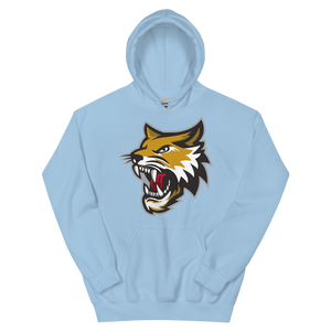 Vermilion County Bobcats (XL logo)