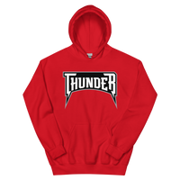 Delaware Thunder (XL logo)
