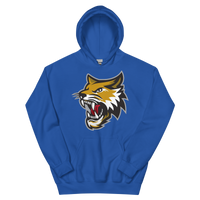 Vermilion County Bobcats (XL logo)
