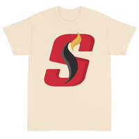 Stockton Heat (XL logo)
