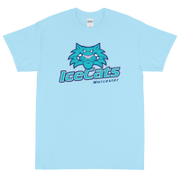 Worcester IceCats (XL logo)
