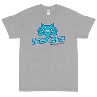 Worcester IceCats (XL logo)