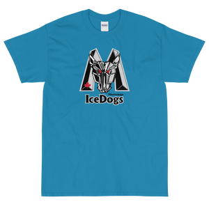 Mississauga IceDogs