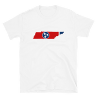 State Flag of Tennessee
