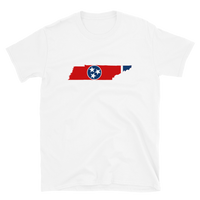 State Flag of Tennessee