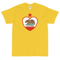 State Flag of California
