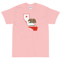 State Flag of California
