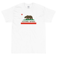 State Flag of California
