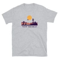 New Mexico