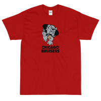 Chicago Bruisers

