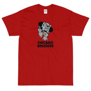 Chicago Bruisers