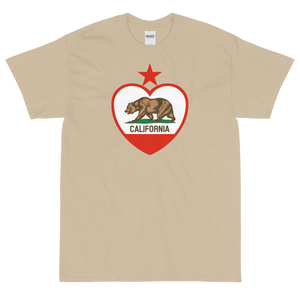 State Flag of California