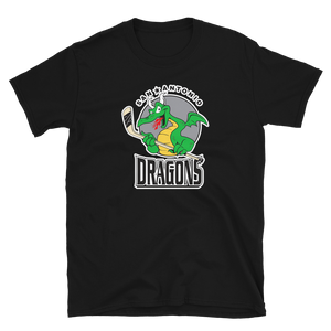 San Antonio Dragons