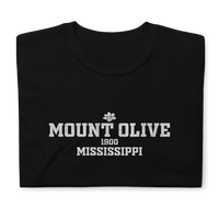 Mount Olive, Mississippi
