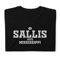 Sallis, Mississippi
