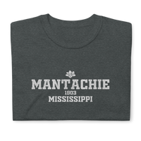 Mantachie, Mississippi
