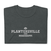 Plantersville, Mississippi
