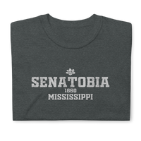 Senatobia, Mississippi
