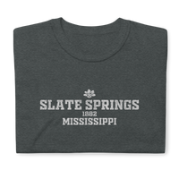 Slate Springs, Mississippi
