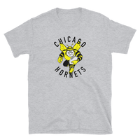 Chicago Hornets