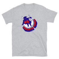 Toronto Toros
