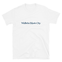 Wallichs Music City