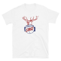 Chicago Stags

