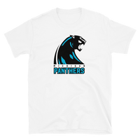 Michigan Panthers
