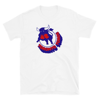 Toronto Toros
