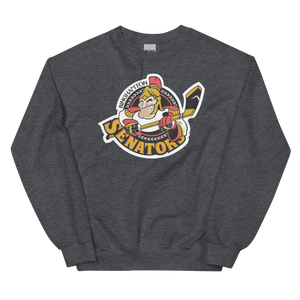 Binghamton Senators (XL logo)