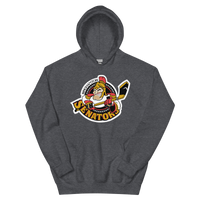 Binghamton Senators (XL logo)
