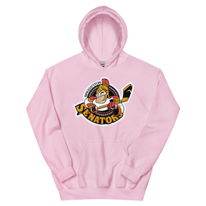 Binghamton Senators (XL logo)