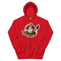 Binghamton Senators (XL logo)