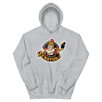 Binghamton Senators (XL logo)