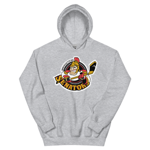 Binghamton Senators (XL logo)